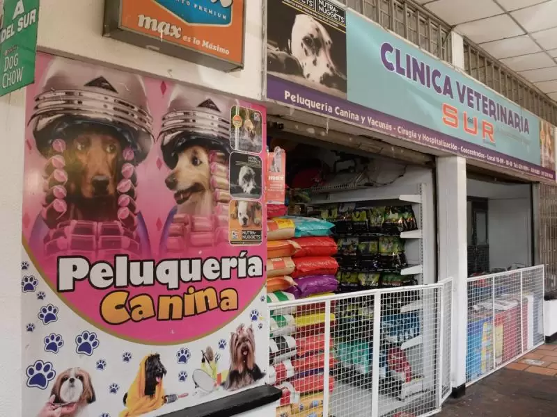 CLINICA VETERINARIA DEL SUR